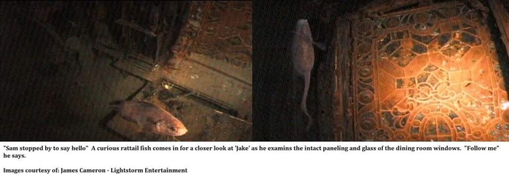 Titanic First Class Dining Room Window